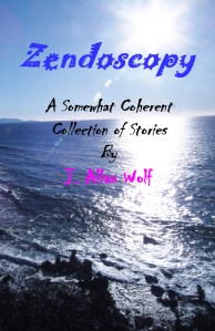 Zendoscopy Front Cover